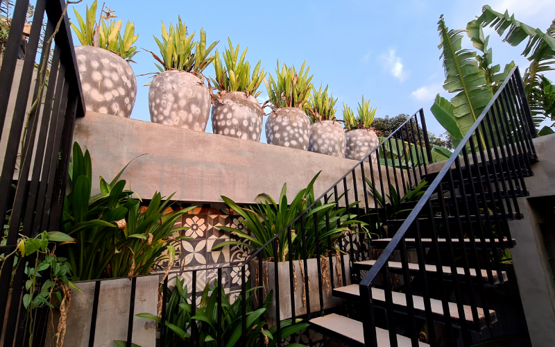 Veayo Studio-Design Villa & Homestay